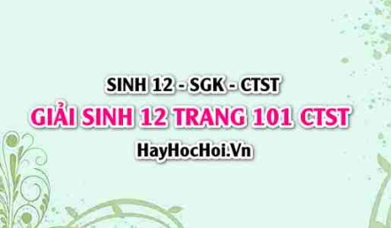 Giải Sinh 12 trang 101 Chân trời sáng tạo SGK